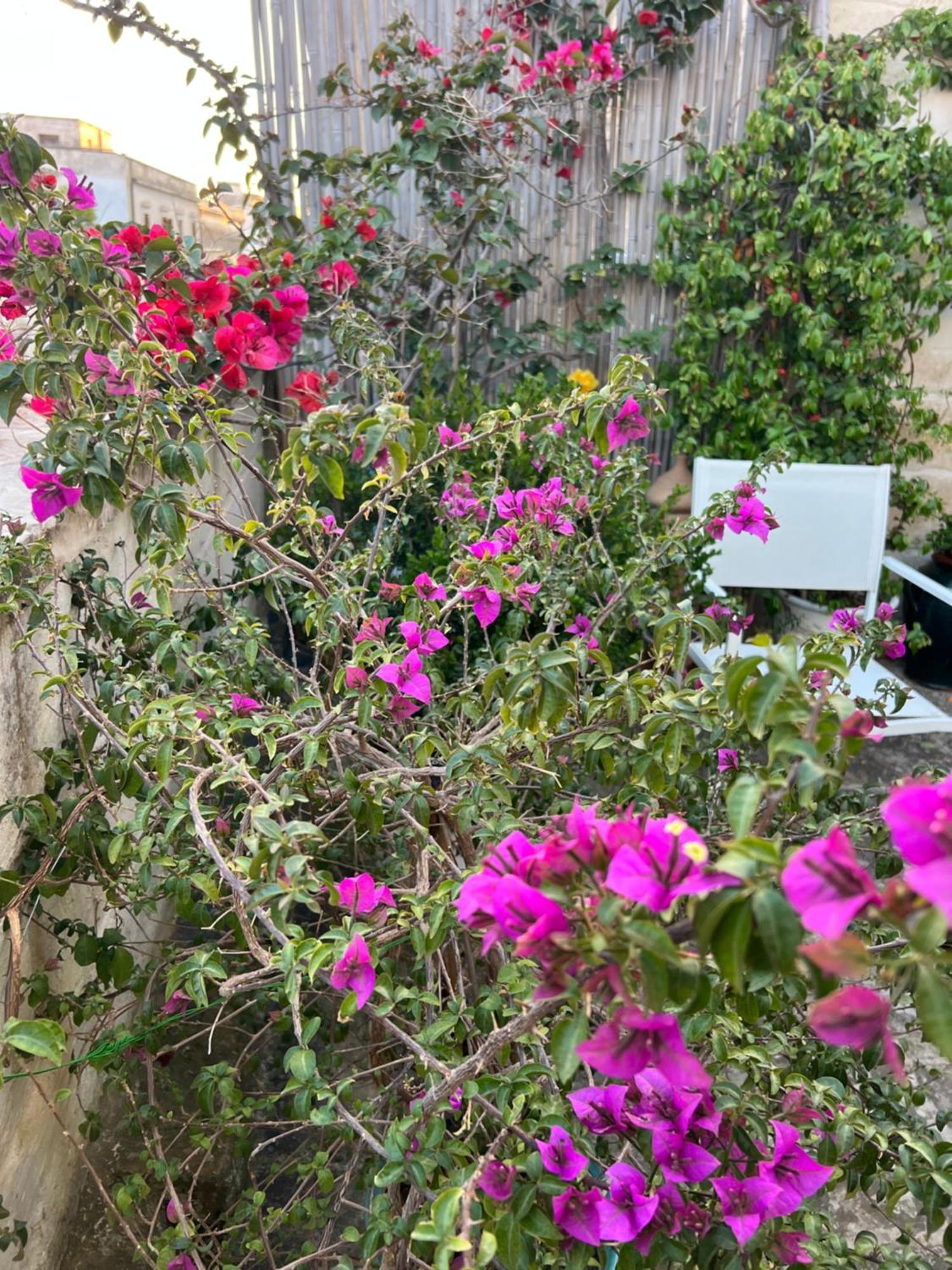 Suite Battisti 7 Lecce Esterno foto