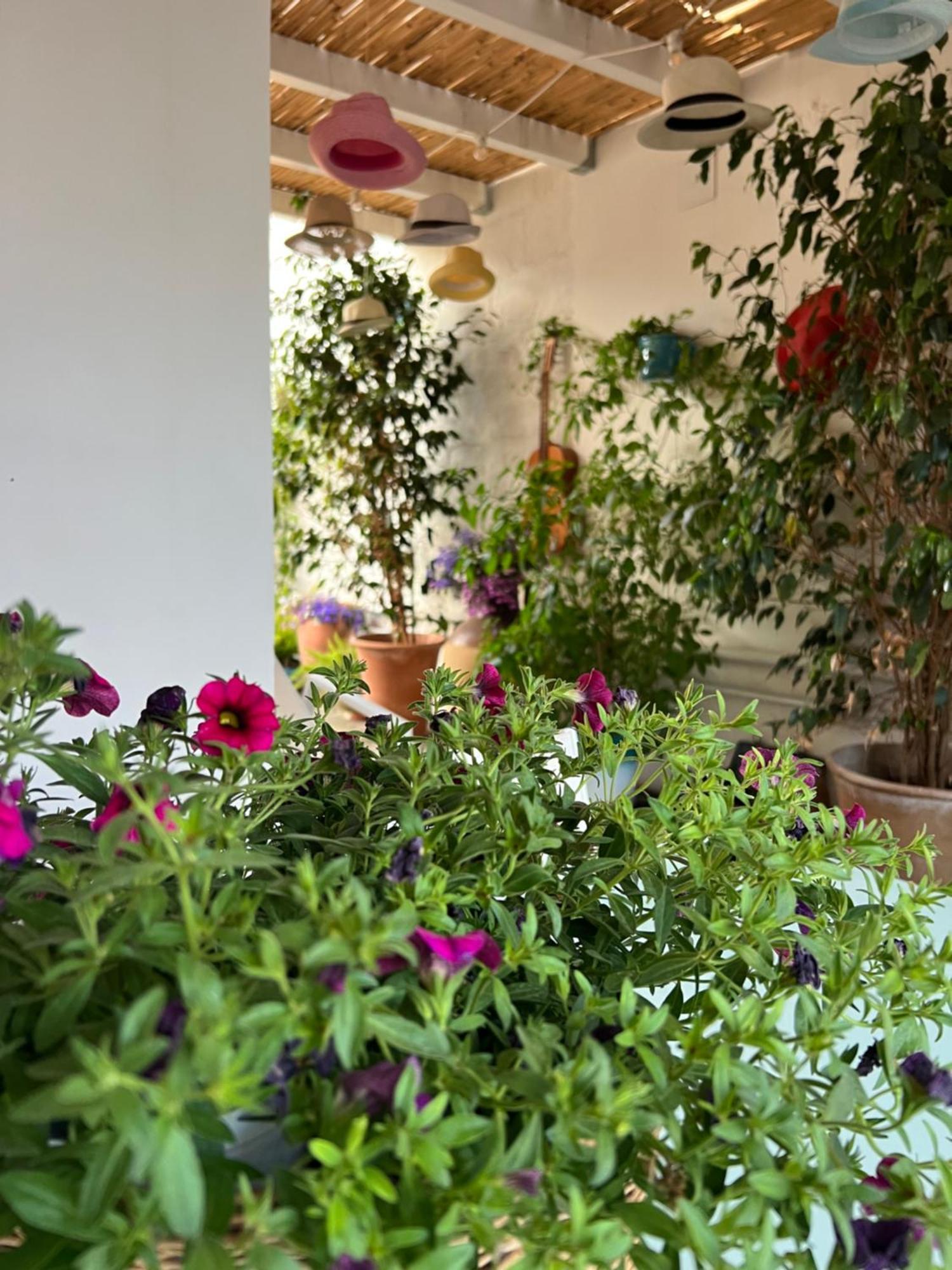 Suite Battisti 7 Lecce Esterno foto